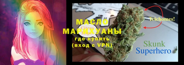 ALPHA-PVP Богородицк