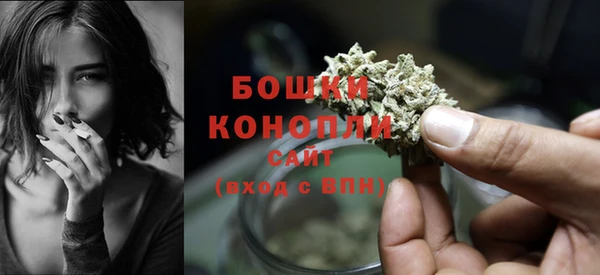 шишки Богородск