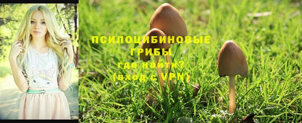ALPHA-PVP Богородицк
