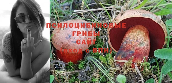 ALPHA-PVP Богородицк